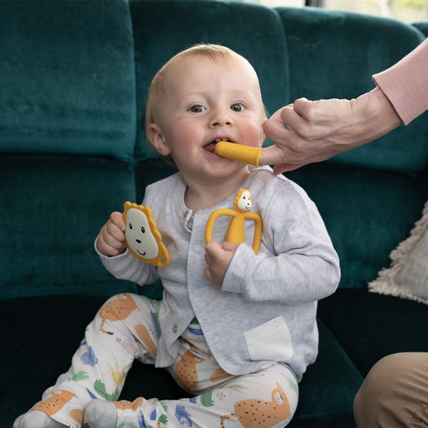 Gjafasett með nagdýrum og fingratannburstum