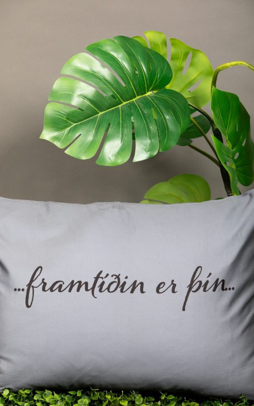 Framtíðin er þín – koddaver úr 540 þráða satín Pima bómull – 50x70 cm