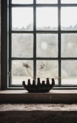 Remi vasi – steinleir