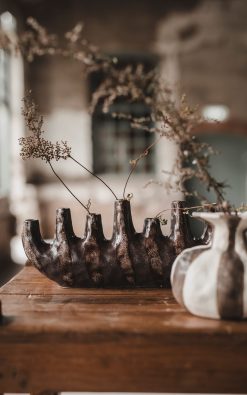 Remi vasi – steinleir